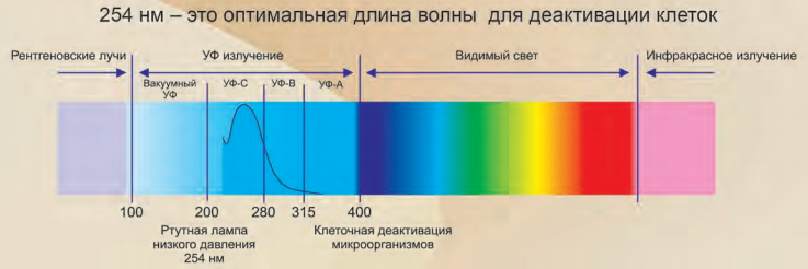 Длина и частота ультрафиолетового излучения. Диапазон длин волн ультрафиолетового излучения. Ультрафиолетовая лампа спектр излучения. Ультрафиолетовые волны диапазон длин волн. Спектр излучения бактерицидной лампы.