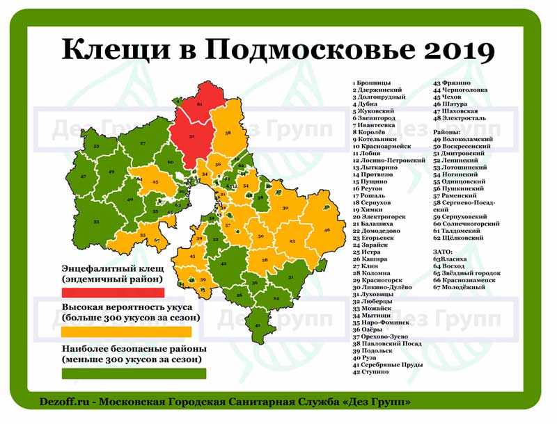 Клещи в Подмосковье 2019: опасные районы