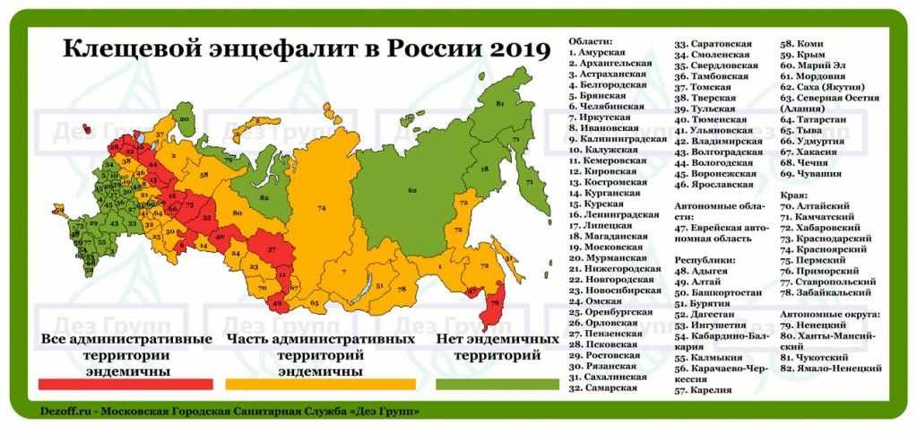 Энцефалитные клещи в 2019 году в России